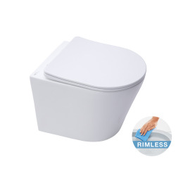 Grohe Toilet set Frame + Infinitiorimless WC + Softclose seat + Chrome flush plate (RaipdSL-Infinitio-5)