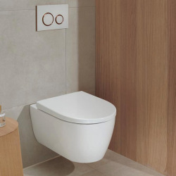 Grohe Toilet Set Rapid SL support frame + Geberit Rimfree wall hung toilet + Skate Cosmopolitan flush plate (RAPIDSL-ICON-1)