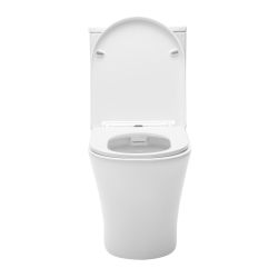 Swiss Aqua Technologies Close coupled WC with softclose seat - bottom water inlet (SATBRE030RREXVP)