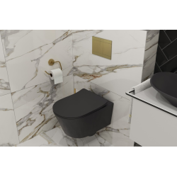 SMARTK Toilet Pack SAT Support Frame + SAT rimless wall-hung toilet + Alca Dual Flush Plate (SMARTK-BlackSAT-M1728)