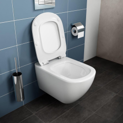 Toilet Pack Ideal Standard Tesi Rimless Toilet + SAT Support Frame + Alca Gold Dual Flush Plate (SMARTK-Aqua-gold)