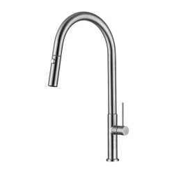 Swiss Aqua Technologies Single-Lever Swivel Spout Kitchen Mixer Tap with Pull-Out Spray, 2 sprays, Stainless Steel Look (SATBSD288)